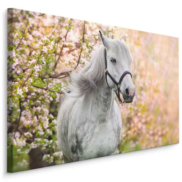 MyBestHome BOX Plátno Kůň A Jaro Varianta: 30x20