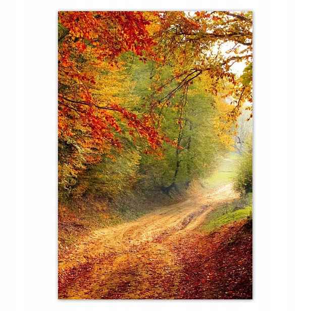 Plakáty 125x185 Cesta v lese podzim