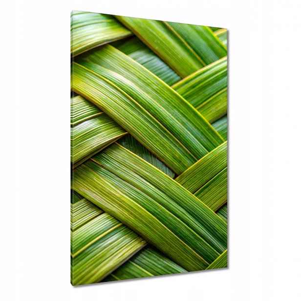 Obrazy 80x120 Zelená pletenina Zelený ratan
