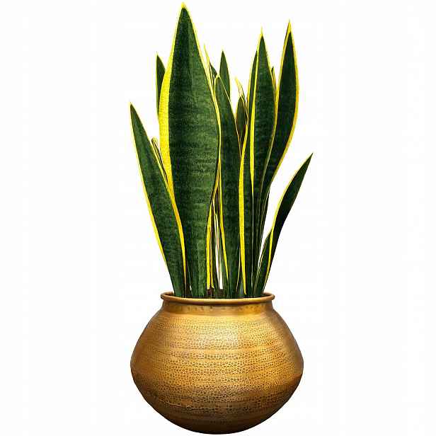 Květináč Obal Na Květináč Zlatý Velký 28 cm kovový loft obal na květináč bonsaje zamiokulkas