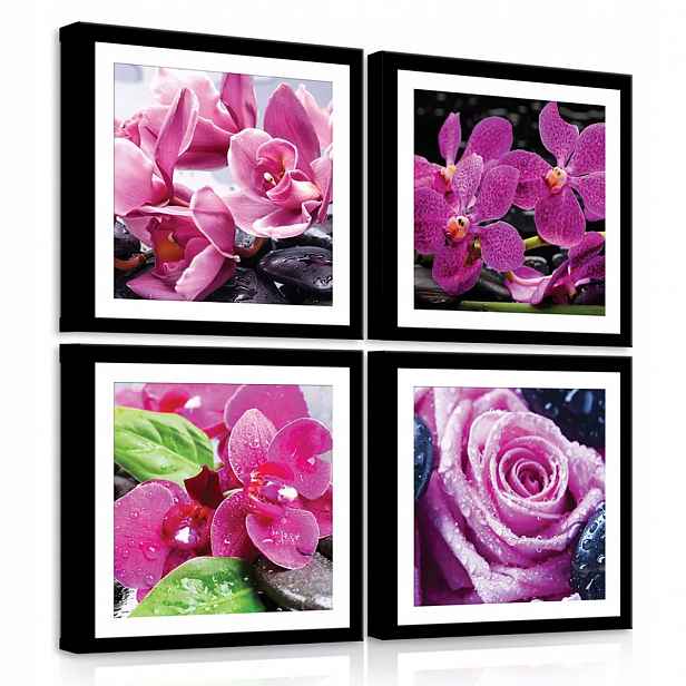Obraz Na Plátně Obraz Na Plátně 50x50 Květy Růže Orchidej
