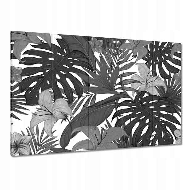 Obrazy 100x70 Černobílá monstera
