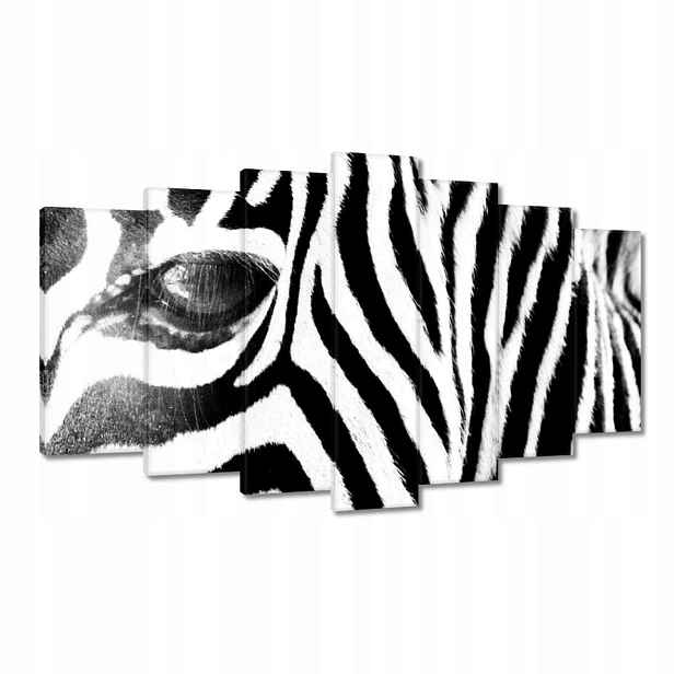 Obrazy 140x80 Zebra Pruhy