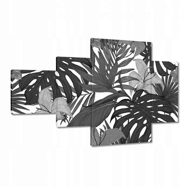Obrazy 130x80 Černobílá monstera