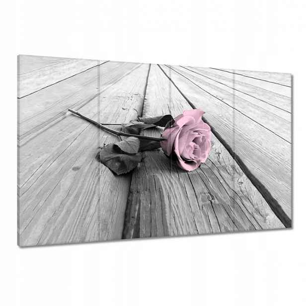 Obrazy 120x80 Pudrová růžová Old pink Rose