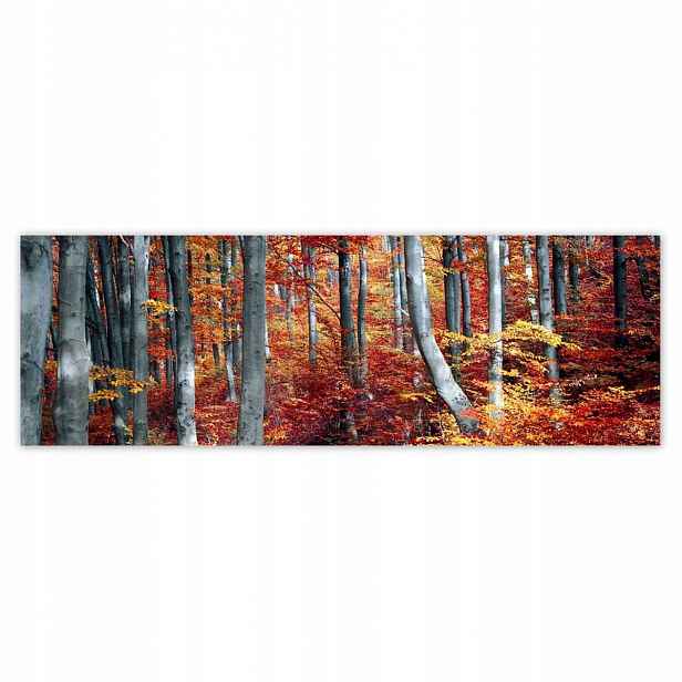 Plakáty 200x66 Krajina
