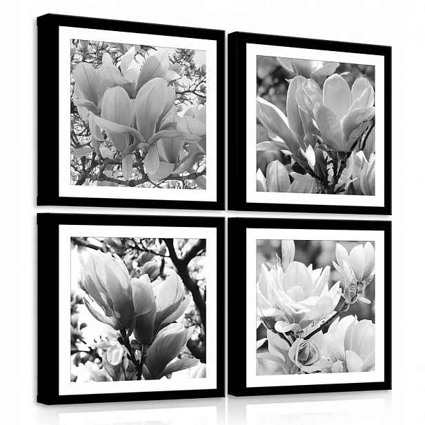 Obraz Na Plátně Plátno 50x50 Květy Magnolie Č&b