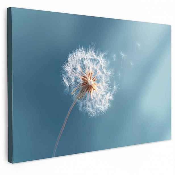 MuchoWow OBRAZ NA PLÁTNĚ Pampeliška - vítr - modrá 60x40 cm