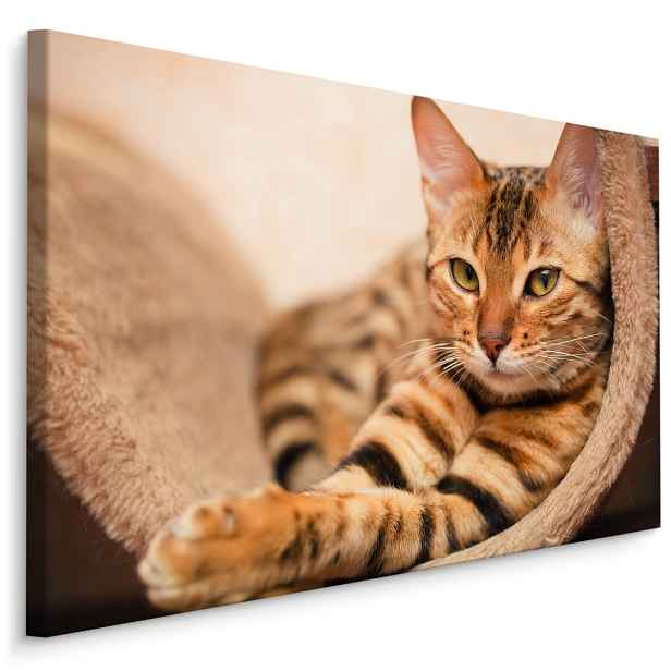 MyBestHome BOX Plátno Bengálská Kočka Varianta: 40x30
