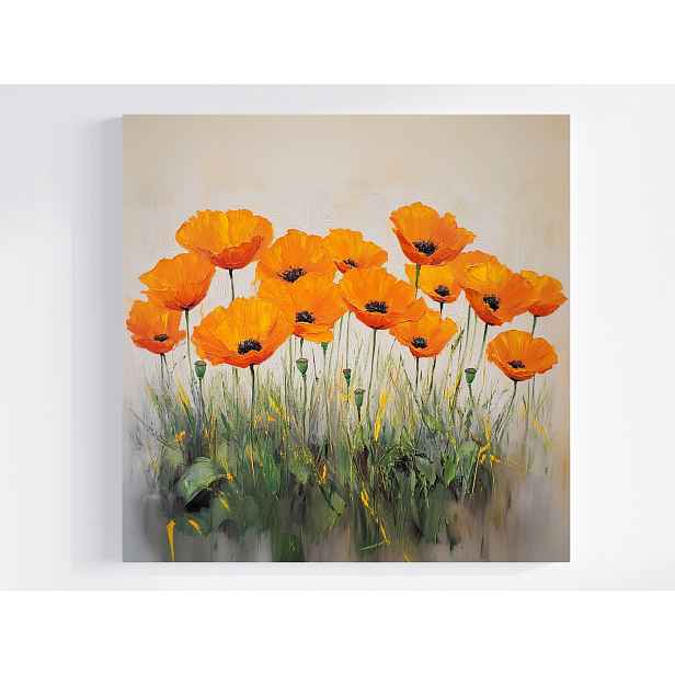 Obraz Na Plátně Canvas Příroda Zahrada Pole Květy Oranžové Máky 60x60