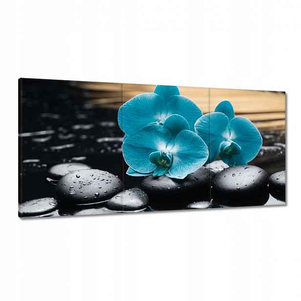 Obrazy 180x90 Tyrkysový orchidej Květina