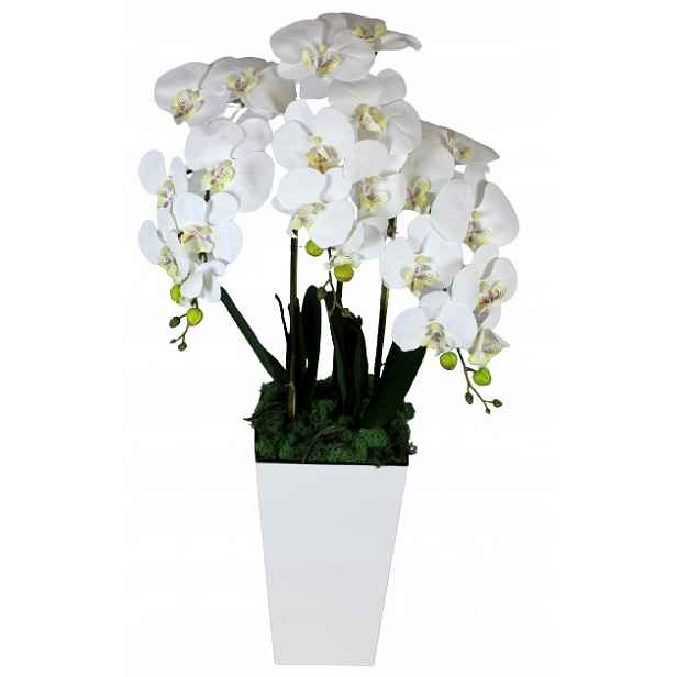 Orchidej Umělá Orchidej Květy Silikonová