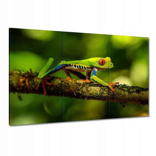 Obrazy 120x80 Zvířata Zvířátka