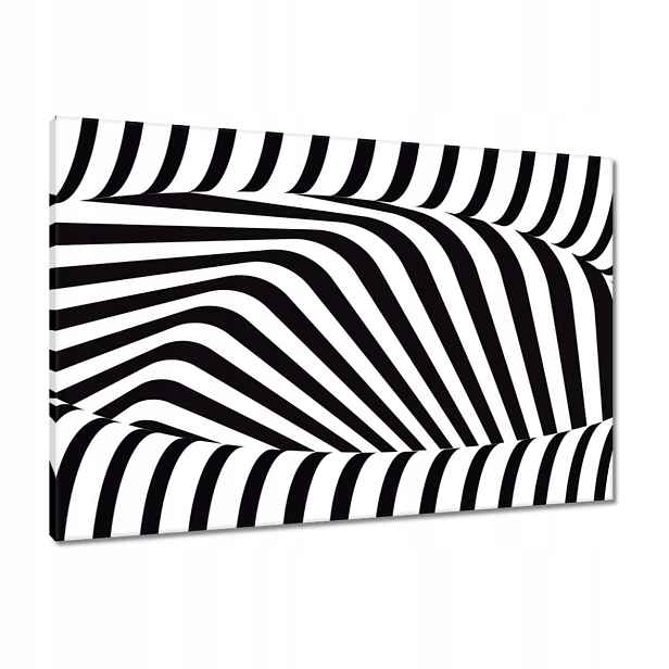 Obrazy 90x60 Abstrackja černobílá