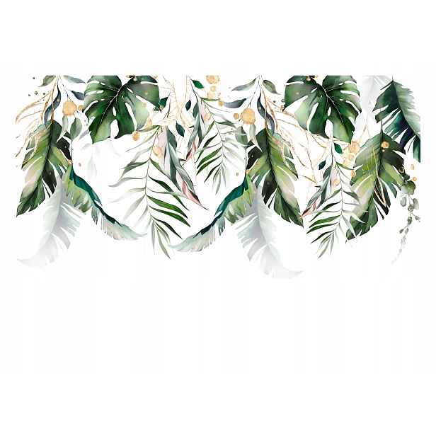 Fototapeta Palmové listy Monstera Příroda 254x184