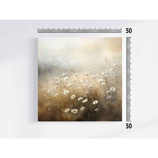 Obraz Na Plátně Obraz Na Plátně Příroda Venko Květy Sedmikrásky 50x50