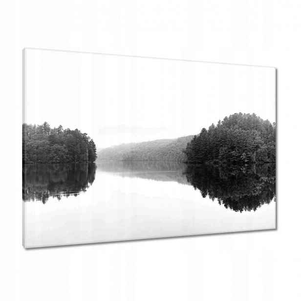 Obrazy 100x70 Jezero Ostrov Černá