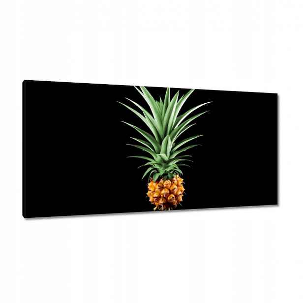 Obrazy 115x55 Ananas