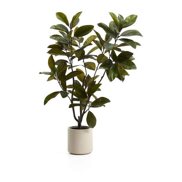 Umělá rostlina (výška 160 cm) Magnolia – Kave Home