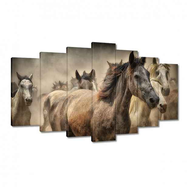 Obrazy 140x80 Divocí koně Koníci Galop
