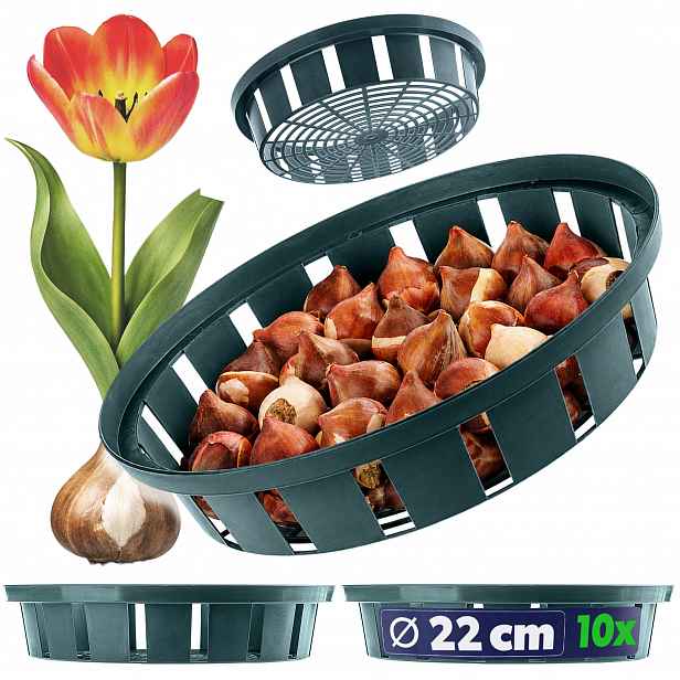 TEMU Kryt na košík na cibuli pro cibuloviny tulipánů k výsadbě, 18 cm, 10 ks