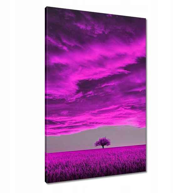 Obrazy 60x90 Fialová krajina