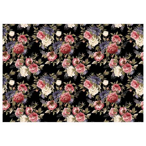 Fototapeta Růže na černém pozadí Červeno-růžová elegance 300x210 lepidlo