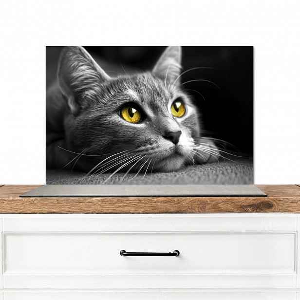 MuchoWow KUCHYŇSKÁ ZÁSTĚNA Kočka - Grey - Zvířata - Cat 60x40 cm