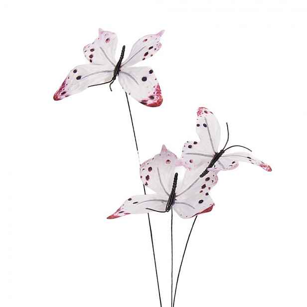 Dekorační větvička s bílými motýlky Butterfly - 10*10*65 cm Clayre & Eef