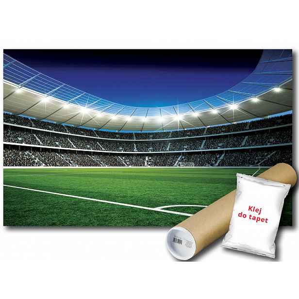 Vinylová Fototapeta Míč Stadion Hřiště 368x254
