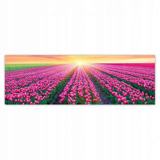 Fototapety 200x66 Moře tulipánů Květiny