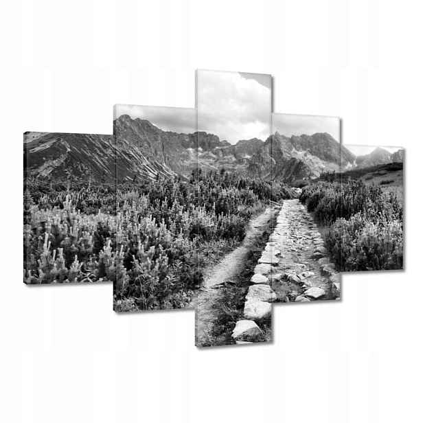 Obrazy 100x70 Tatry Polské hory Pohled