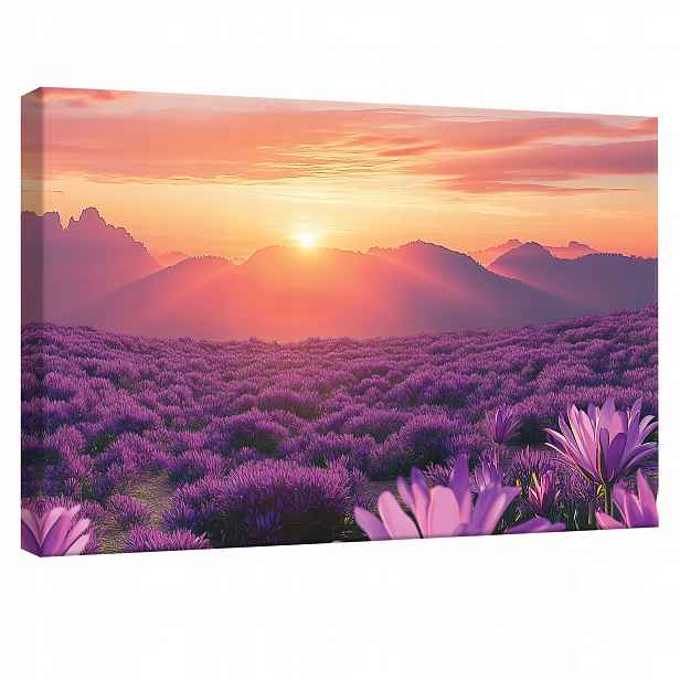 Obraz Západ slunce levandule krajina plakát na plátně canvas příroda 120x80 cm