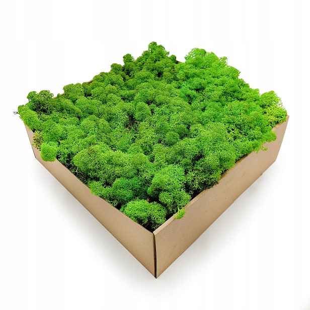Sobí mech Norský tráva na slunci 5kg