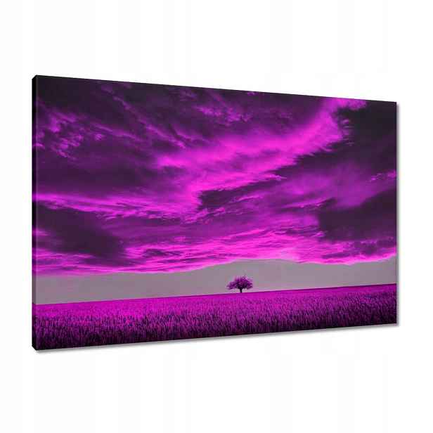 Obrazy 90x60 Fialová krajina