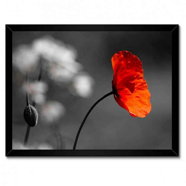 Plakáty v rámu 40x30 Rozkvetlý červený mák
