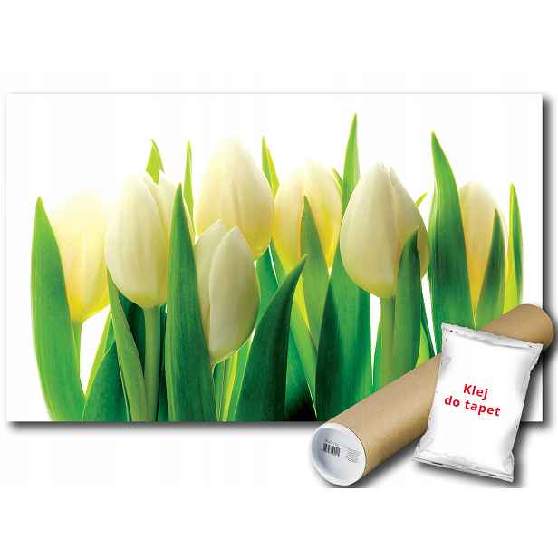 Fototapeta Bílé Tulipány 9C V8 368x254 F894