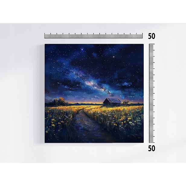 Obraz Na Plátně Canvas Vesnice Pole Mléčná Dráha Nebe Hvězdy Noc 50x50