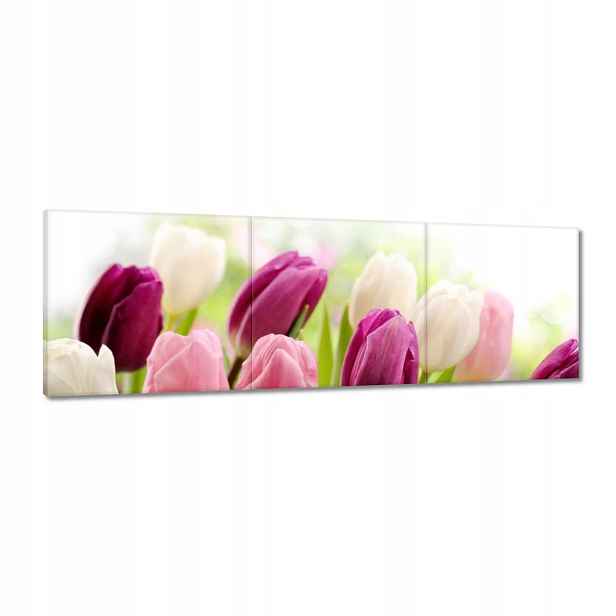 Obrazy 120x40 Krásné tulipány