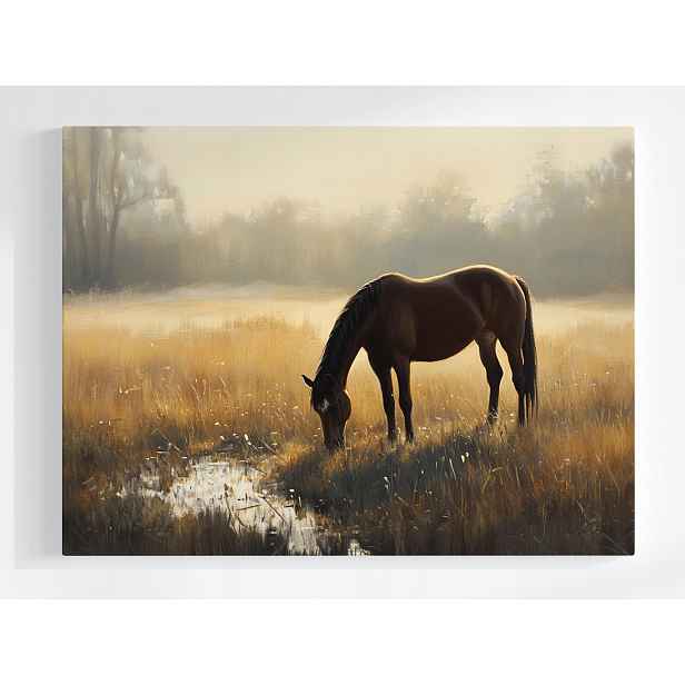 Plakát Krajina Příroda Louka Kůň Kaštan Ráno Mlha 100x75