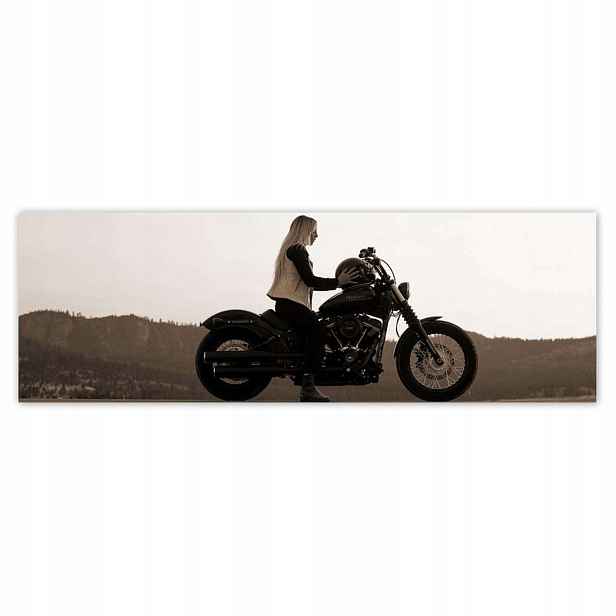 Plakáty 200x66 Harley Davidson Motocykl