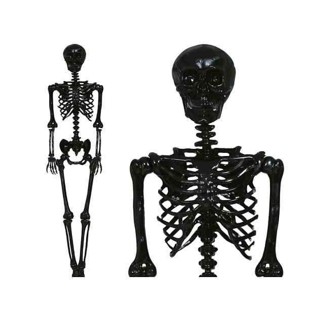 Kostra Kostlivec 160 CM Dekorace Halloween Mrtvola Kostra Dekorace