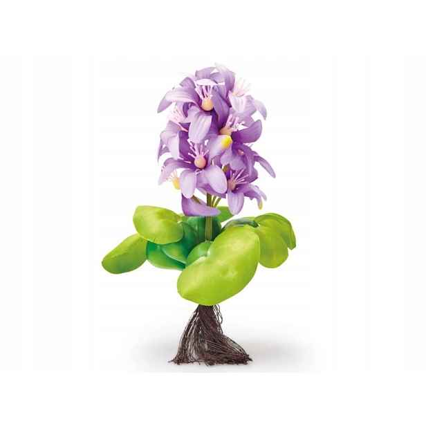 Pontec PondoHyacinth kvetoucí