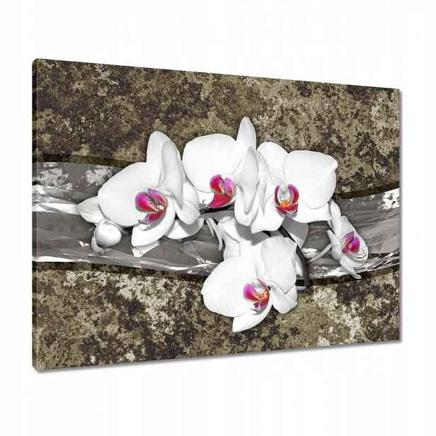 Obrazy 80x60 Bílá Orchidej Mramorové pozadí