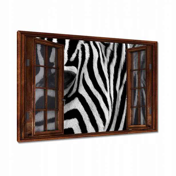 Obrazy 90x60 Černobílé pruhy Zebra