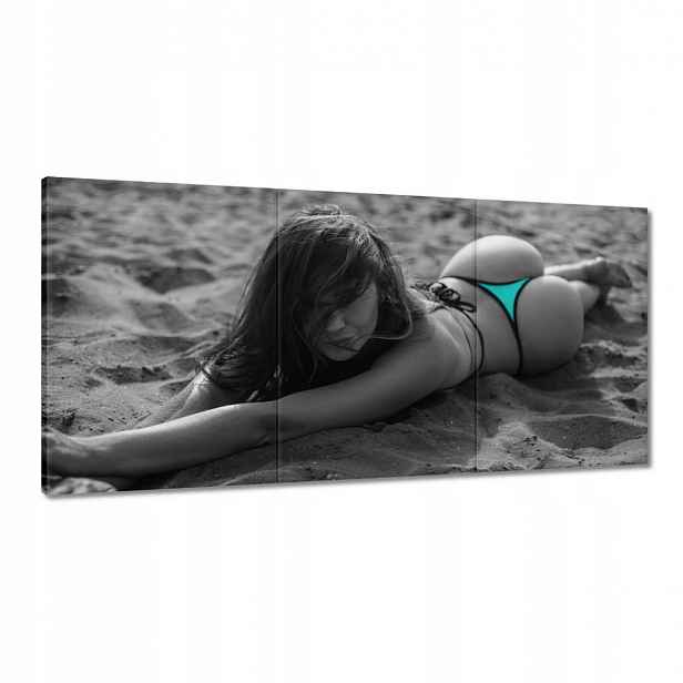 Obrazy 120x60 Líska na pláži Tyrkysová