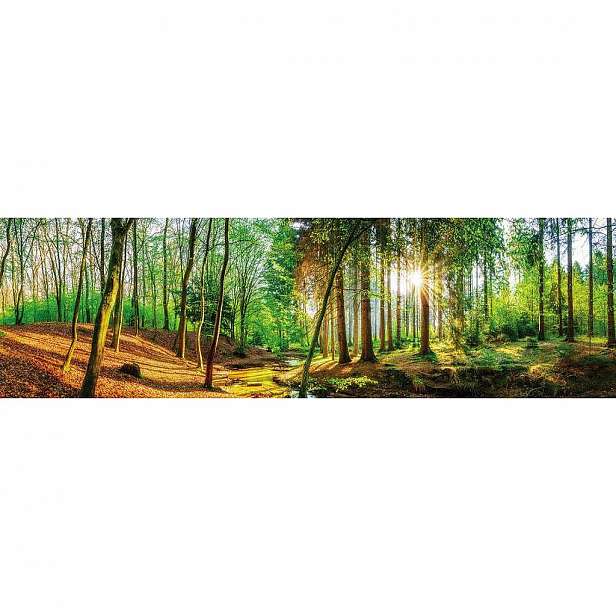 XXXLutz Akrylový Skleněný Obraz, Krajina & Příroda, 50/180/1,70 Cm - Skleněné obrazy - 0057210255