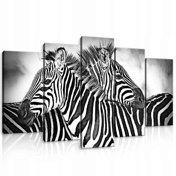 Obraz 100x60 Zebra pruhy divoká příroda Afrika černobílé zvířata dekorace
