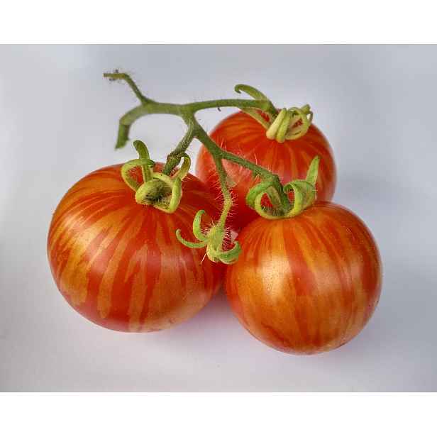 Culina Botanica Rajče žíhané Tigerella