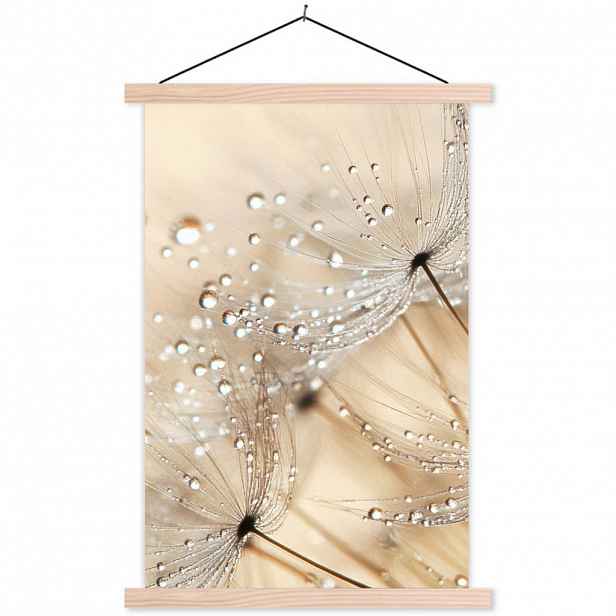 MuchoWow PLAKÁT S MAGNETICKOU LIŠTOU Pampeliška - Abstraktní - Příroda - Béžová 40x60 cm